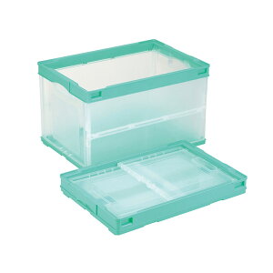 [{bNX ܂肽 Rei{bNX CB-S51NRLi܂肽݃Rei[ 50Lj [P[X  vX`bN ܂R IR ܂ ܂肽݃{bNX ߗގ[ ߑP[X 