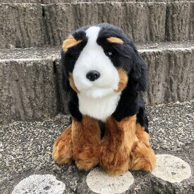 バーニーズマウンテンドッグ 犬 ぬいぐるみ リアル 22センチ ペット おすわり Dog 本物 そっくり ギフト プレゼント おもちゃ 子供 女の子 男の子 タイガーテールトイズ 【日本正規品】