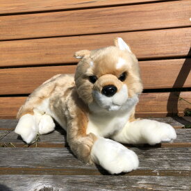 楽天市場 犬 お世話 ぬいぐるみの通販