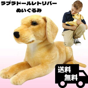 ^CK[e[gCY uh[Eg[o[  傫 ʂ A 46Z` ybg ^  Ck {  A ybg  q ̎q j̎q y{Ki