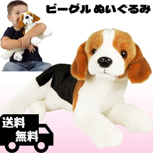 r[O  ʂ A 30Z` 傫 ybg  Ck  {   q ̎q j̎q ^CK[e[gCY y{Kiz