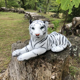楽天市場 虎 ぬいぐるみ リアル 種類 動物 トラ の通販