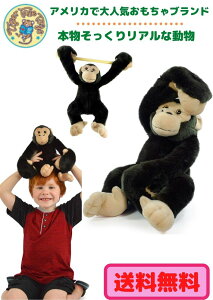 ^CK[e[gCY `pW[ ʂ A 43Z` ybg   T 傫 {  Mtg v[g  q ̎q j̎q y{Kiz