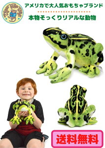 ^CK[e[gCY _[cc[qLKG ʂ A 26Z` ybg 傫 ^ JG {  A ybg  q ̎q j̎q y{Kiz