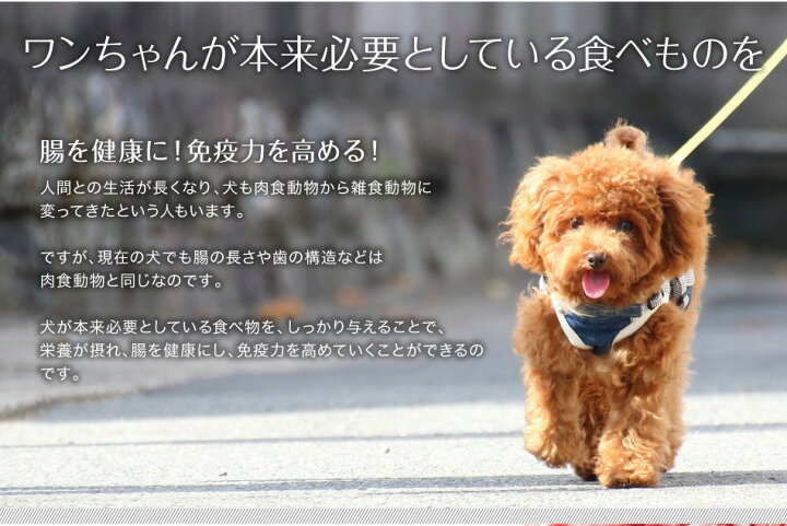 楽天市場 馬刺し 全商品ポイント5倍 父の日 母の日 馬肉 ドッグフード 犬 ペット 生肉 犬用 ペット用 パラパラミンチ ミンチ ミンチ肉 なまにく 900g 300 3袋 馬刺し 熊本 利他フーズ ギフト 新鮮 お取り寄せ 馬肉 熊本の馬刺し専門店 利他フーズ 楽天市場 馬刺し 全商品ポイント5倍 父の日 母の日 馬肉 ドッグフード 犬 ペット 生肉 犬用 ペット用 パラパラミンチ ミンチ ミンチ肉 なまにく 900g 300 3袋 馬刺し 熊本 利他フーズ ギフト 新鮮 お取り寄せ 馬肉 熊本の馬刺し専門店 利他フーズ