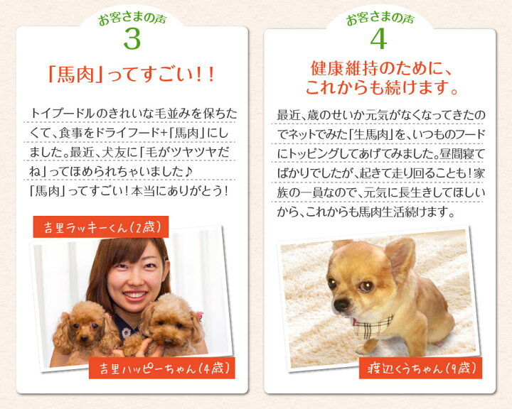 楽天市場 馬刺し 全商品ポイント5倍 父の日 母の日 馬肉 ドッグフード 犬 ペット 生肉 犬用 ペット用 パラパラミンチ ミンチ ミンチ肉 なまにく 900g 300 3袋 馬刺し 熊本 利他フーズ ギフト 新鮮 お取り寄せ 馬肉 熊本の馬刺し専門店 利他フーズ 楽天市場 馬刺し 全商品ポイント5倍 父の日 母の日 馬肉 ドッグフード 犬 ペット 生肉 犬用 ペット用 パラパラミンチ ミンチ ミンチ肉 なまにく 900g 300 3袋 馬刺し 熊本 利他フーズ ギフト 新鮮 お取り寄せ 馬肉 熊本の馬刺し専門店 利他フーズ