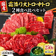 馬刺し 国産 馬肉 熊本 霜降り 肉 セット 大トロ 中トロ 馬刺 刺身 大容量 ギフト お祝い 贈り物 高級 内…