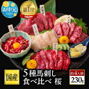 【500円クーポン】馬刺し 国産 ばさし 熊本 国産馬刺し 馬肉 熊本馬刺し 肉 詰め合わせ 馬刺 霜降り 中トロ 赤身 中トロ たてがみ ユッケ ロース ギフト 内祝い プレゼント 高級 手土産 おつまみセット お中元 御中元 夏ギフト 送料無料 夏
