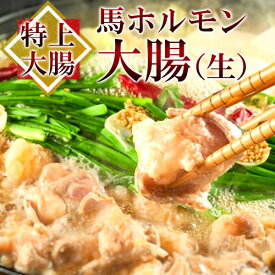 馬肉 特上大腸 ホルモン 生 大腸 約500g 鍋用 もつ鍋 ホルモン鍋 肉 熊本 利他フーズ 新鮮 お取り寄せ 馬肉 食べ物 惣菜 プレゼント ばさし おつまみ お取り寄せグルメ 高級 ギフト お歳暮 御歳暮 冬ギフト