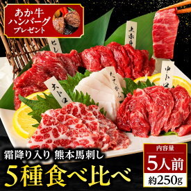 馬刺し 国産 熊本 肉 ギフト 馬肉 詰め合わせ 馬刺 霜降り 大トロ 上 赤身 5種 食べ比べ セット 5人前 250g 中トロ たてがみ 馬ヒレ 老舗 利他フーズ お酒に合う 酒のつまみ おつまみ プレゼント お肉 食べ物 母の日 父の日 ギフト