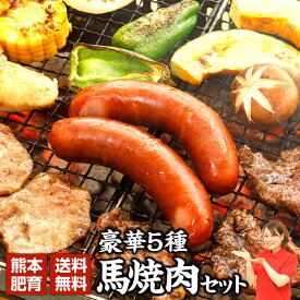 馬肉 肉 ギフト 馬刺 焼肉 ギフトセット バーベキュー BBQ 肉 ギフト セット カルビ ロース ステーキ ホルモン ウインナー 馬肉 焼肉 ギフト キャンプ 豪華馬焼肉 ギフトセット 2-4人前 790g 九州 熊本 利他フーズ ばさし おつまみ 母の日 父の日 ギフト