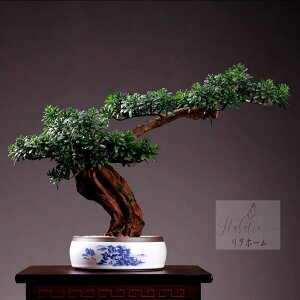 A054562CeAO[ D͑}q~ u Tӌ}q~͑i lHϗtA