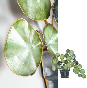 A051116WD48-8ACA Ǌ| k Ǐ CeAG @ǖʑ H|i |i 