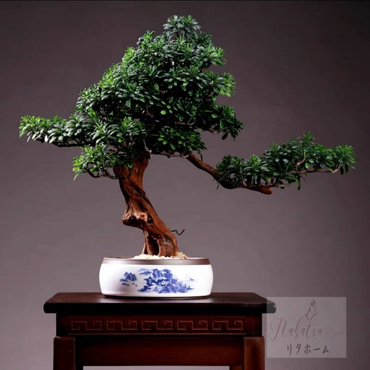 楽天市場】A056623インテリアグリーン ．高級模造迎客松盆栽 置物 禅意  