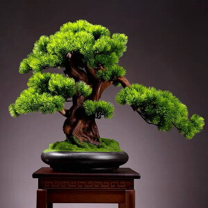 A051336CeAO[ ͑}q~ u Tӌ}q~͑i lHϗtA