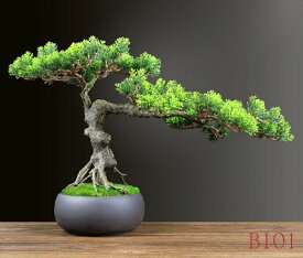 20220729-20 インテリアグリーン 高級模造迎客松盆栽 置物 禅意迎客松盆栽装飾品 人工観葉植物