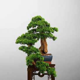 インテリアグリーン 高級模造迎客松盆栽 置物 禅意迎客松盆栽装飾品人工観葉植物