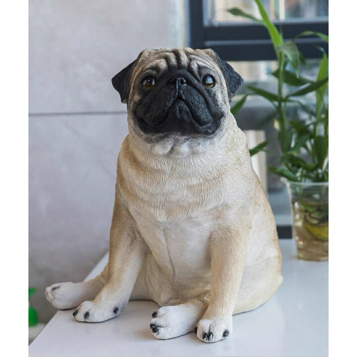 楽天市場】A033906ガーデンオーナメント パグ 犬置物 パグ犬 飾り玄関  