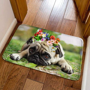A012451pO^CvO}bg rODփ}bgDJ[ybgDC}bgD50x80cm