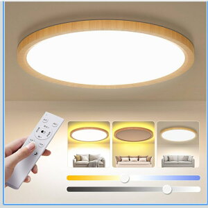 LedV[OCg 6 28W a ؖڒ F ԐڏƖ 铔