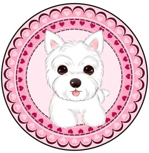 A019216O}bg rO}bg փ}bgDJ[ybgDC}bg D60cmTCY ViEU[G