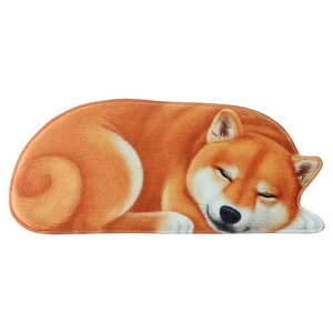 A025171O}bg rO}bg փ}bgDJ[ybgDC}bg 58x127cmTCY ČG