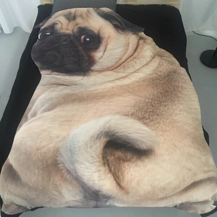 可愛い 柴犬柄毛布犬柄 ブランケット ひざ掛け 夏かけ布団1x170cm 柴犬雑貨 防寒対策 素晴らしい品質 防寒対策