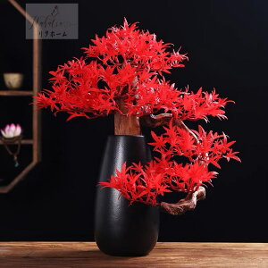 A051043CeAO[ ͑}q~ Du Tӌ}q~͑i lHϗtA