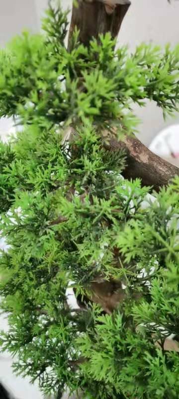楽天市場】インテリアグリーン ．高級模造迎客松盆栽 置物 禅意迎客松