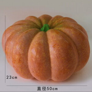 nEB  ^ڂ ua50cm CeA Be H