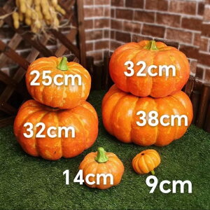 6_ZbgnEB ڂIuWFAȐlHpvL HCeA