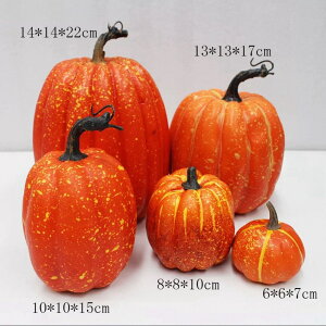 5_ZbgnEB ڂIuWFAȐlHpvL HCeA