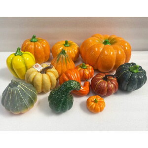 13_ZbgnEB ڂIuWFAȐlHpvL HCeA