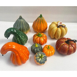 10_Zbg@nEB ڂIuWFlHpvLH̃CeA G