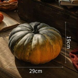 nEB  ^ڂ ua29cm CeA Be H