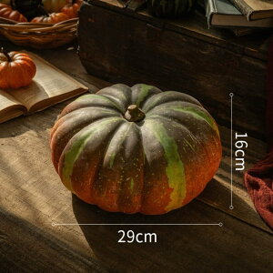 nEB  ^ڂ ua29cm CeA Be H