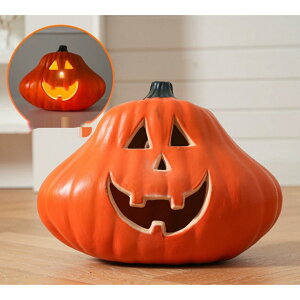 nEB ڂ჉^ LEDCgt WbNI[^ u