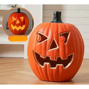 nEB ڂ჉^ LEDCgt WbNI[^ u