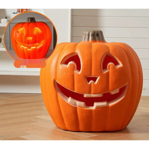 nEB ڂ჉^ LEDCgt WbNI[^ u