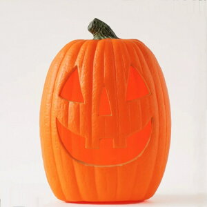 nEB ڂ჉^ LEDCgt WbNI[^ u