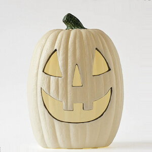 nEB  ڂ჉^ LEDCgt mg[ 