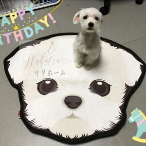 A007420O}bg rODփ}bgDJ[ybgDC}bg 