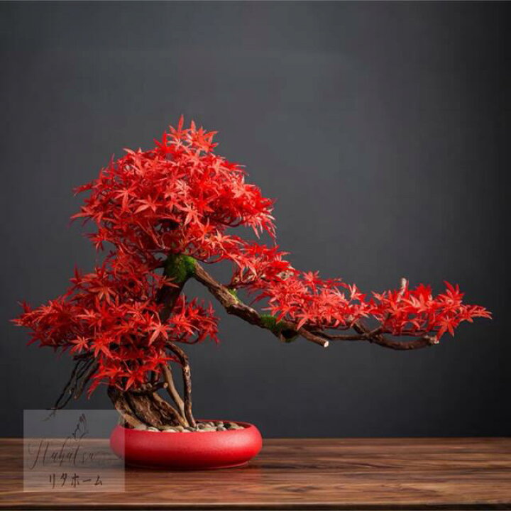 楽天市場】A041131インテリアグリーン 高級模造迎客松盆栽 置物 禅意迎  