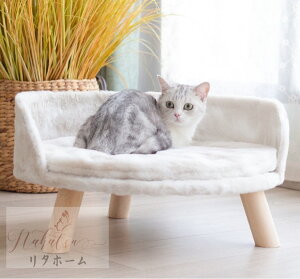 A000396،pxbh@Q ybg\t@^Q zc ӂӂ ybgpxbh@MTCY