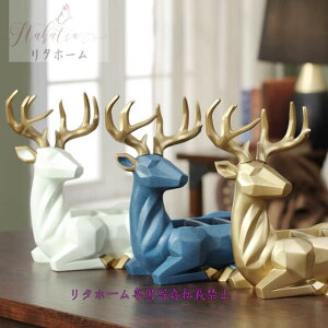 A000573[ACfA@[u֌@[P[X@u