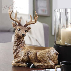 A000584[ACfA@[u֌@[P[X@u