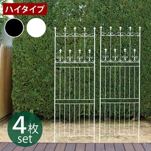 I[hVg[tFX220 nC^Cv 4gy tFX ACA K[ftFX K[fjO g  d؂ ډB  NVJ AeB[N gX x_  K