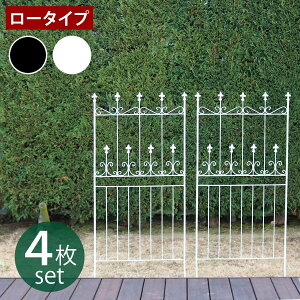 I[hVg[tFX150 [^Cv 4gy tFX ACA K[ftFX K[fjO g  d؂ ډB  NVJ AeB[N gX x_  K