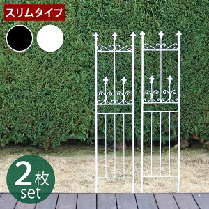 I[hVg[tFX X^Cv 2gy tFX ACA K[ftFX K[fjO g  d؂ ډB  NVJ AeB[N gX x_  K