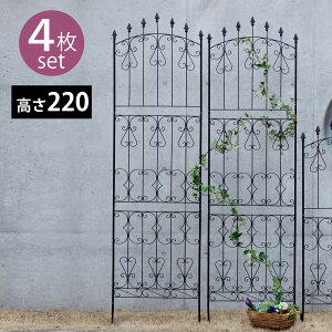 ACA[YtFX220 nC^Cv 4gy tFX ACA K[ftFX K[fjO g  d؂ ډB  NVJ AeB[N gX x_  KN 